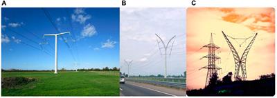 The integration of morphological design and topology optimization to enhance the visual quality of electricity pylons